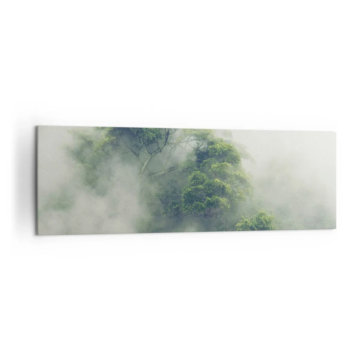 Canvas picture - Wrapped In Fog - 160x50 cm