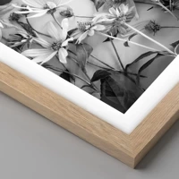 Light Oak