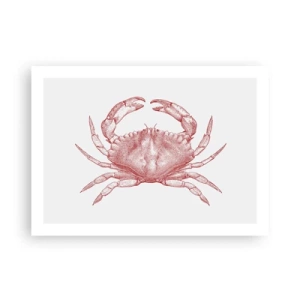Poster - Crab Like No Other - 70x50 cm
