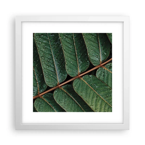 Poster in white frmae - In Green Rhythm - 30x30 cm