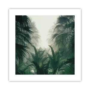 Poster - Tropical Secret - 40x40 cm