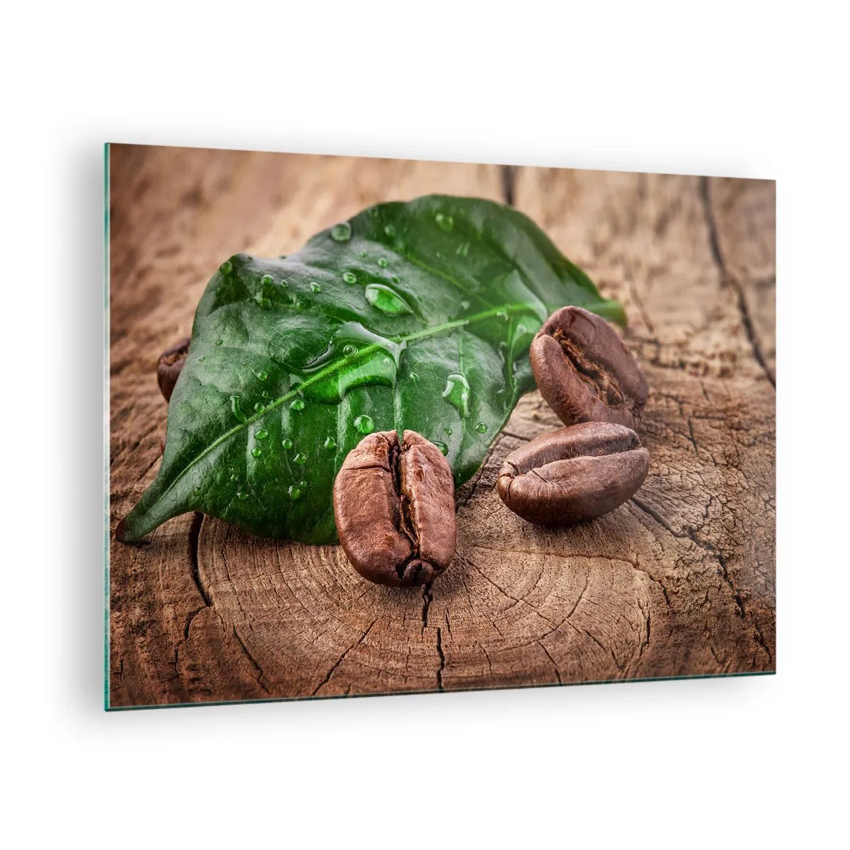 Glass picture - Coffee beans on a leaf and wood background - 70x50cm - Really Black - Modern wall decoration for the living room and bedroom ARTTOR