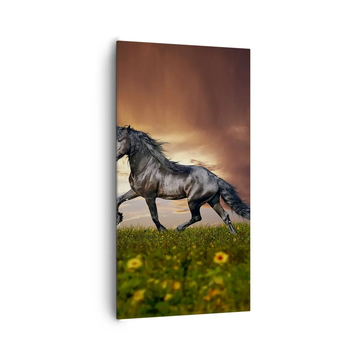 Canvas picture - Black Prince - 65x120 cm