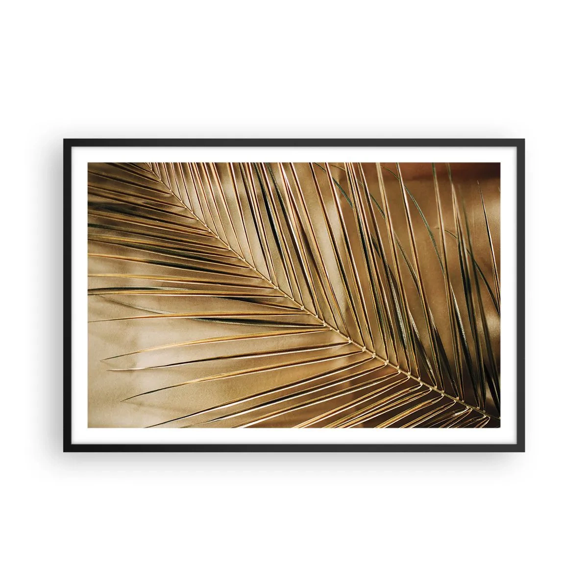 Poster in black frame - Natural Colonnade - 91x61 cm