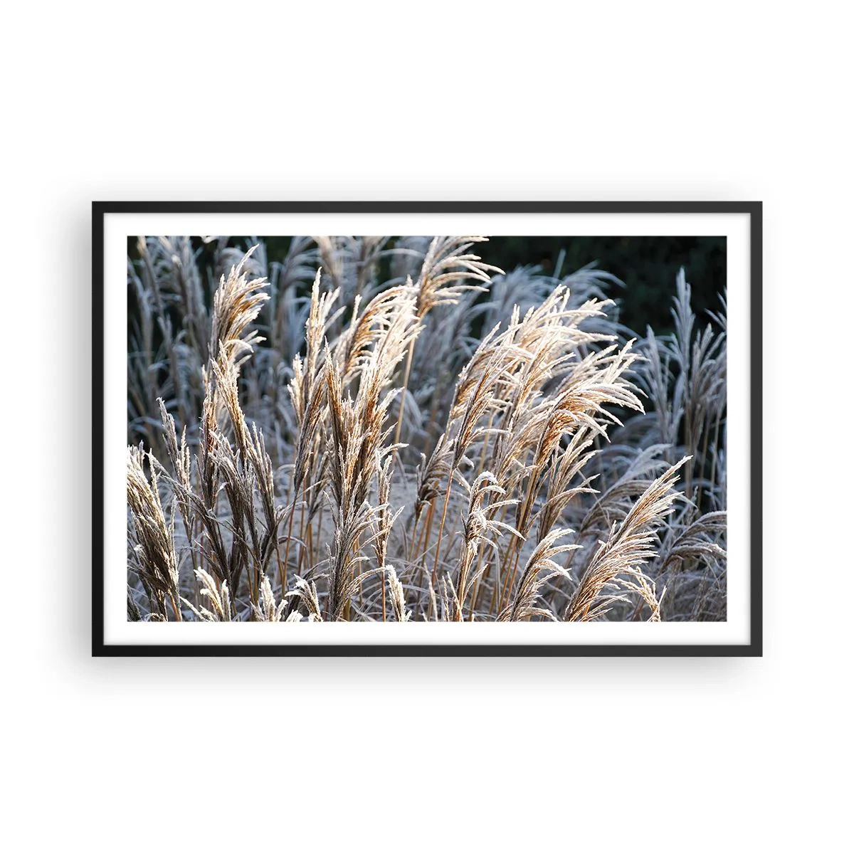 Poster in black frame - Decorated with Frost - 91x61 cm