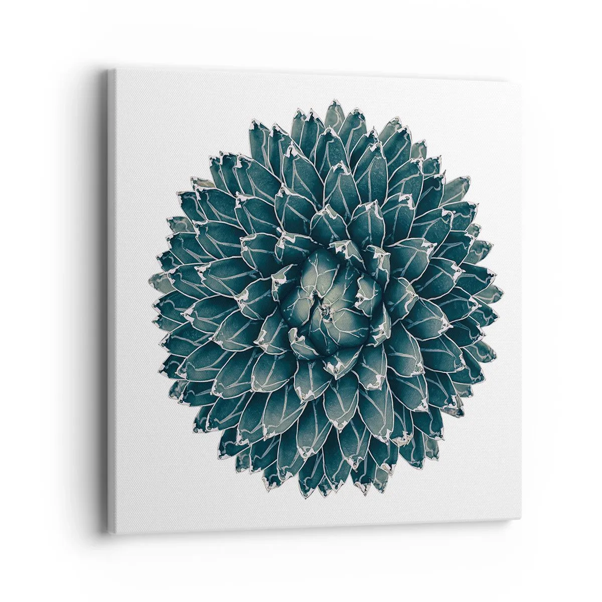 Canvas picture - Star of the Desert - 40x40 cm