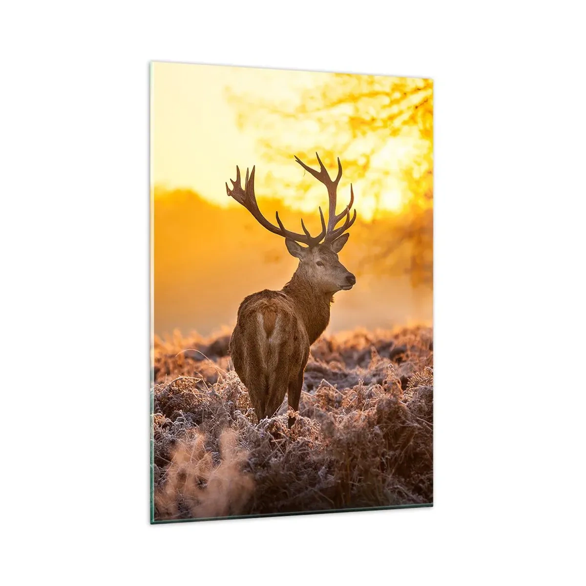 Glass picture - King of Autumnal Forest - 80x120 cm