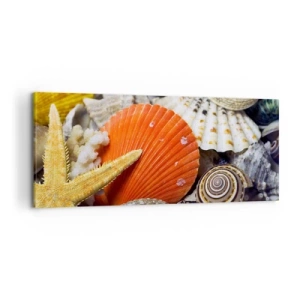 Canvas picture - Treasures of the Ocean - 120x50 cm