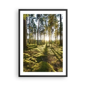 Poster in black frame - Green forest in the morning with the rays of the rising sun - 50x70cm - Deep in the Forest - Modern wall decoration for the living room and bedroom ARTTOR