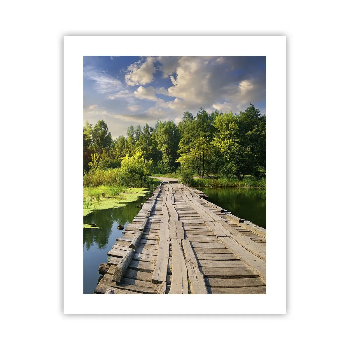 Poster - Summer Everywhere - 40x50 cm