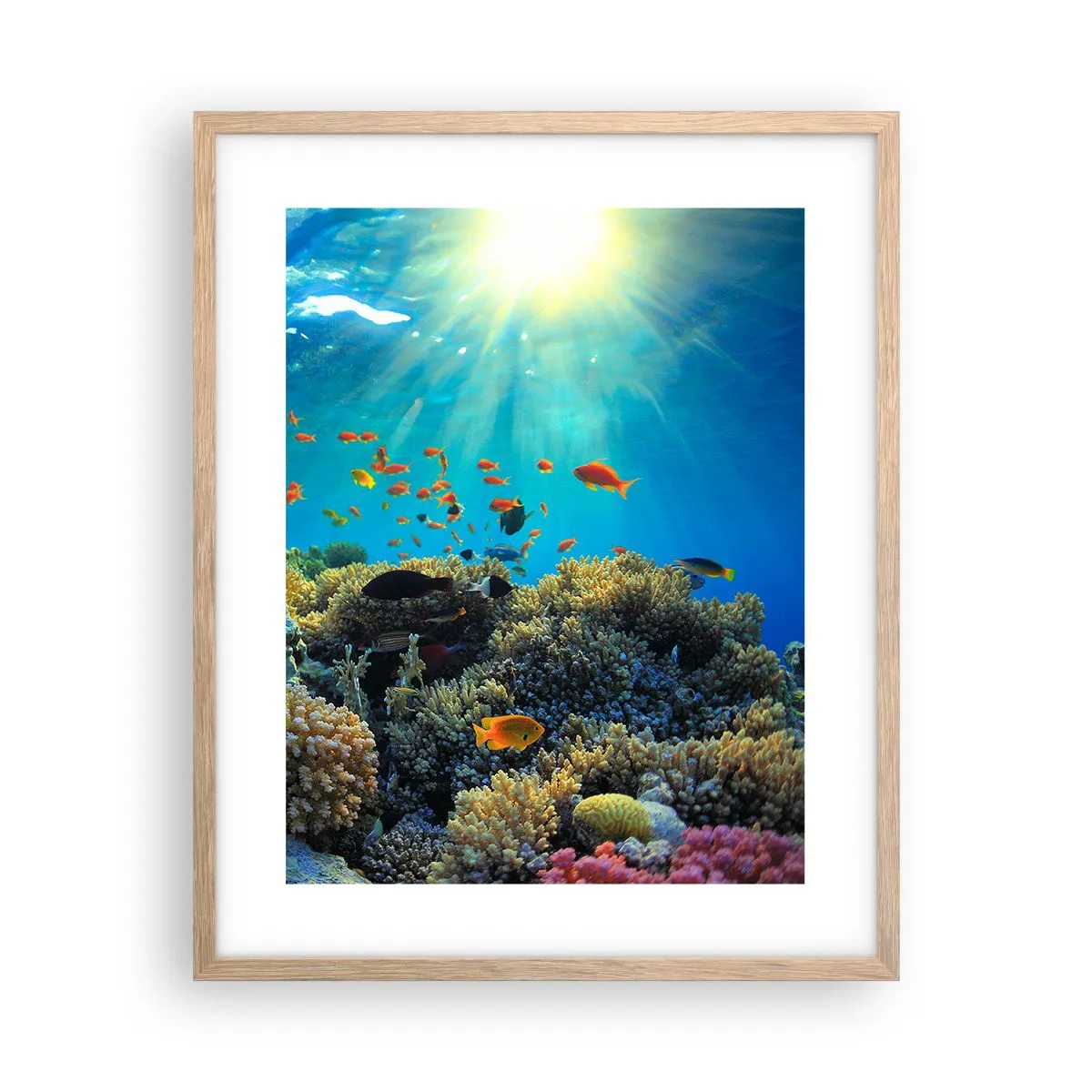 Poster in light oak frame - Underwater Treasures - 40x50 cm