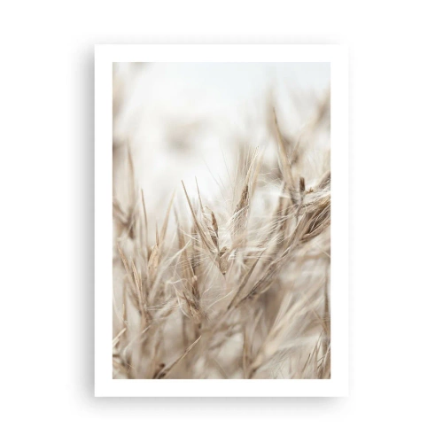 Poster - Meadow and Wind - 50x70 cm