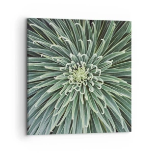 Canvas picture - Birth of a Star - 70x70 cm