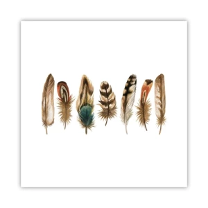Poster - Feather Variation - 30x30 cm