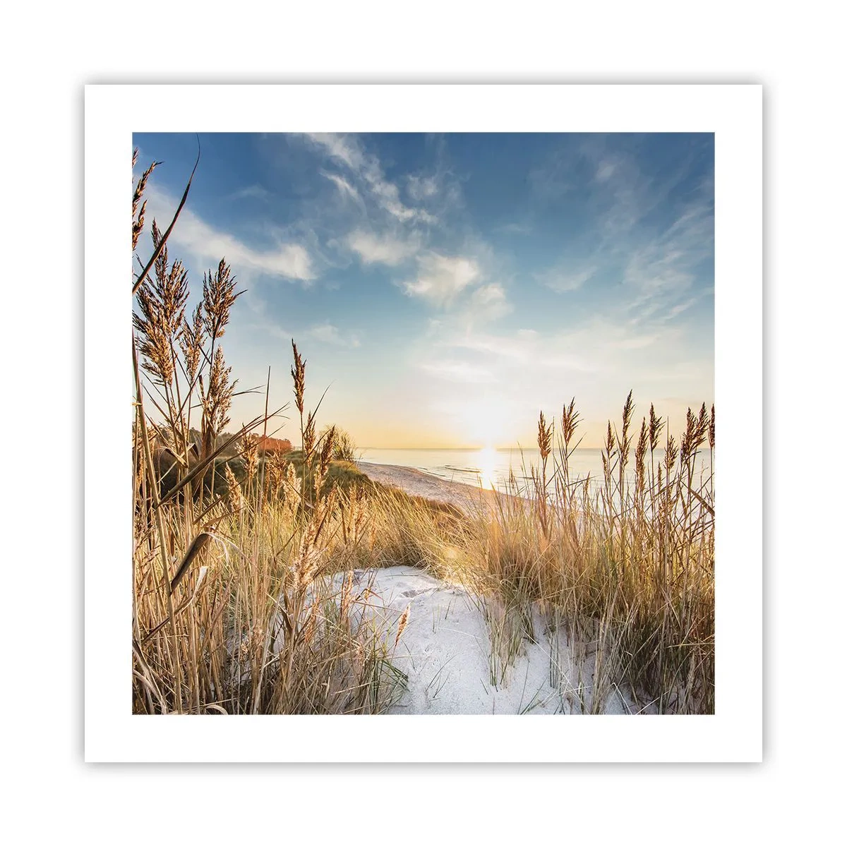 Poster - Northern Beach - 50x50 cm