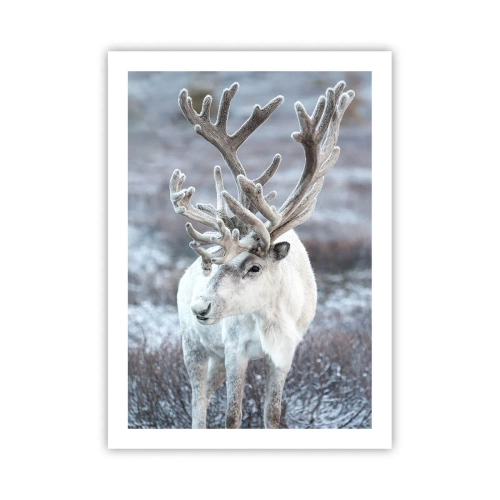 Poster - Portrait in the Sun - 50x70 cm