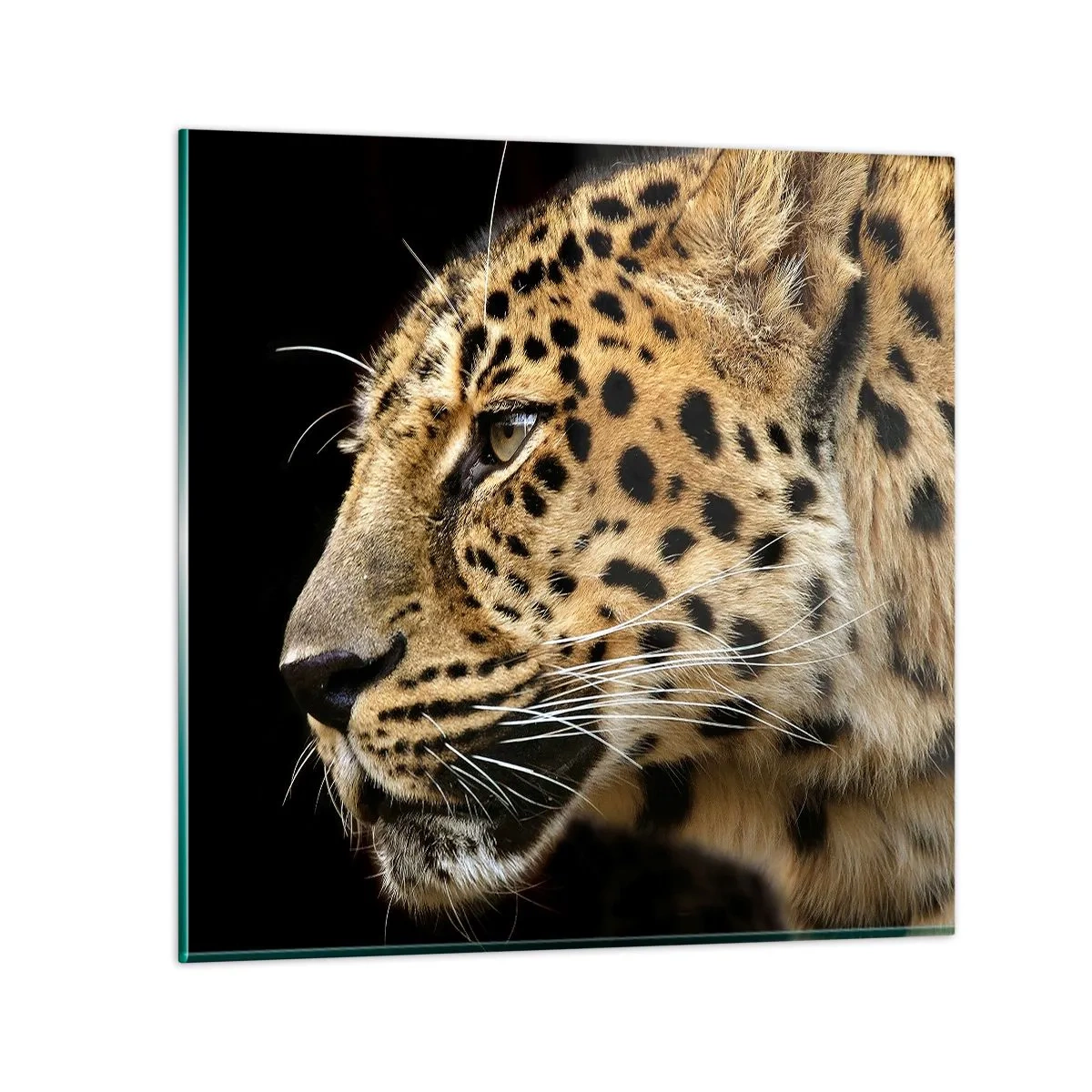 Glass picture - Calm, Focused, Ready - 40x40 cm