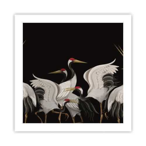 Poster - Bird Affairs - 50x50 cm
