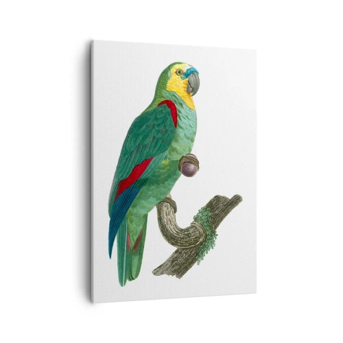 Canvas picture - Parrot Portrait - 50x70 cm