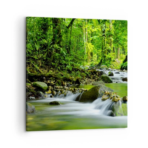 Canvas picture - Swimming in the Sea of Green - 50x50 cm