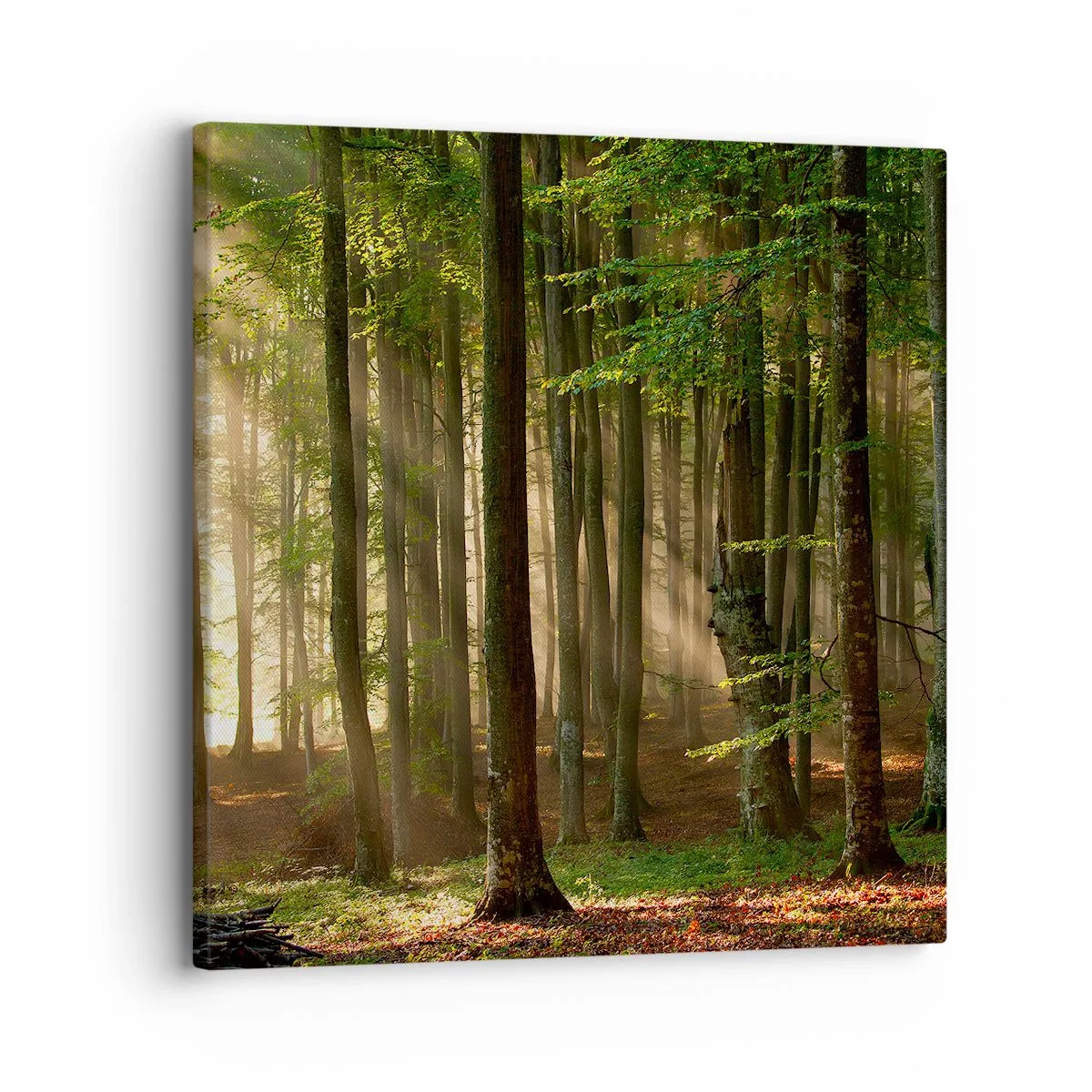 Canvas picture - Beaming in Spring Morning - 30x30 cm