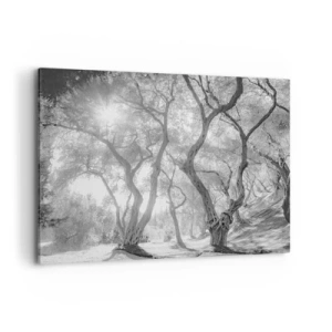 Canvas picture - In an Olive Grove - 100x70 cm