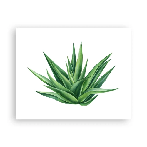 Poster - Green - Power - Life - 50x40 cm