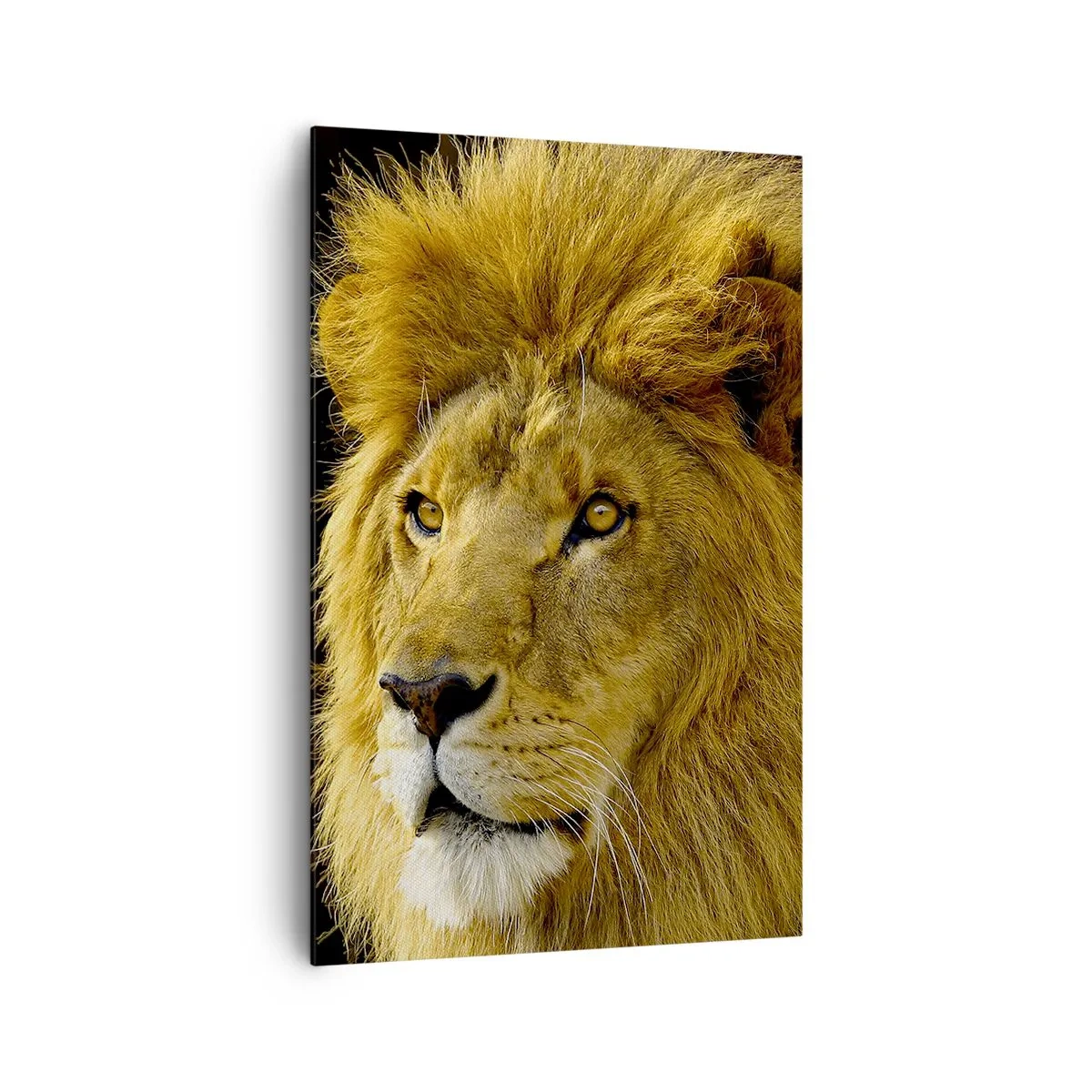 Canvas picture - Portrait of a King - 80x120 cm