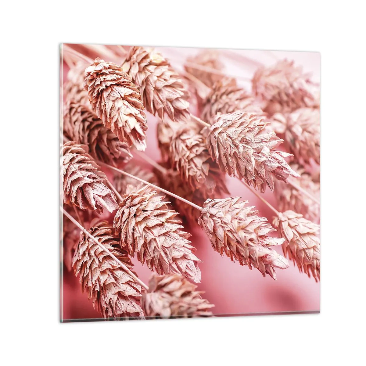 Glass picture - Flowery Cascade in Pink - 50x50 cm