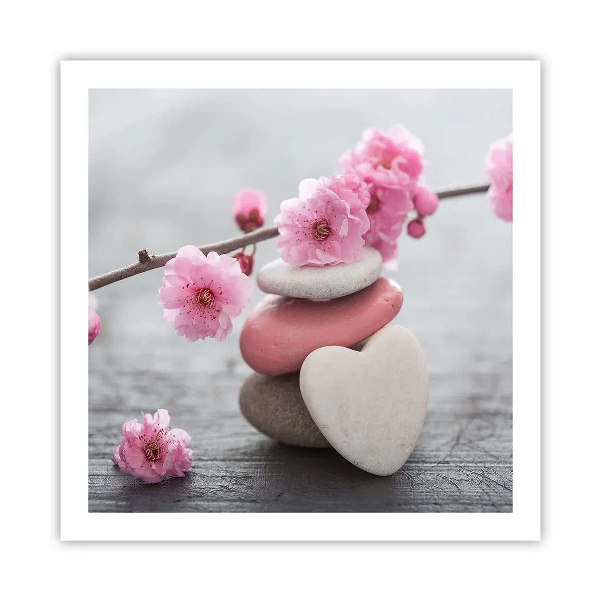 Poster - Bliss with Cherry Blossom - 60x60 cm