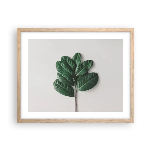 Poster in light oak frame - Drawing of Nature Itself - 50x40 cm