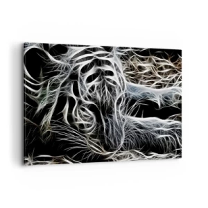 Canvas picture - Study in Lightness of Cats - 120x80 cm