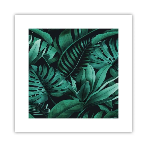 Poster - Depth of Tropical Green - 30x30 cm