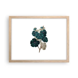 Poster in light oak frame - From the Old Herbarium - 40x30 cm