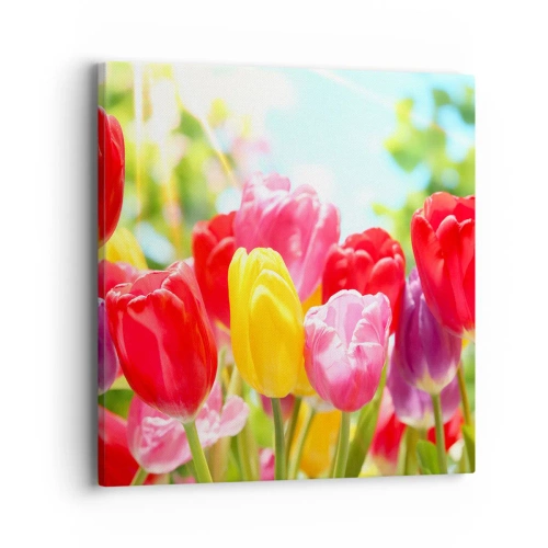 Canvas picture - It is Us, Colour of May! - 40x40 cm