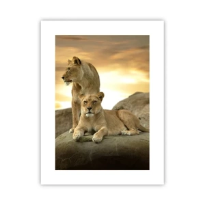 Poster - Royal Majesty - 30x40 cm