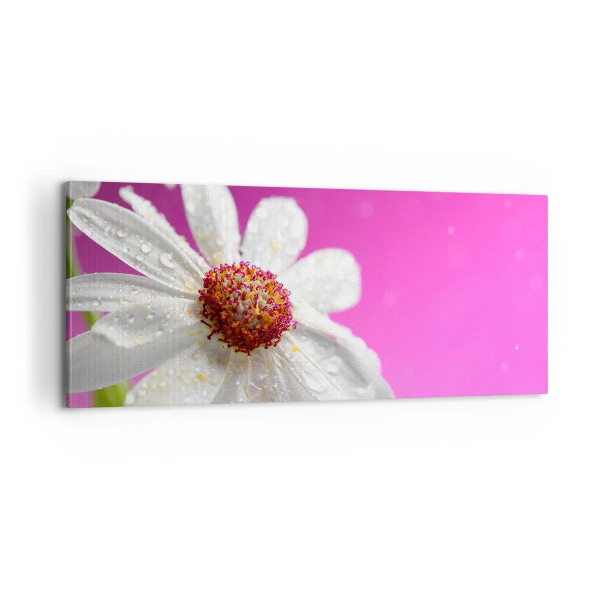 Canvas picture - Modest in Its Beauty - 100x40 cm