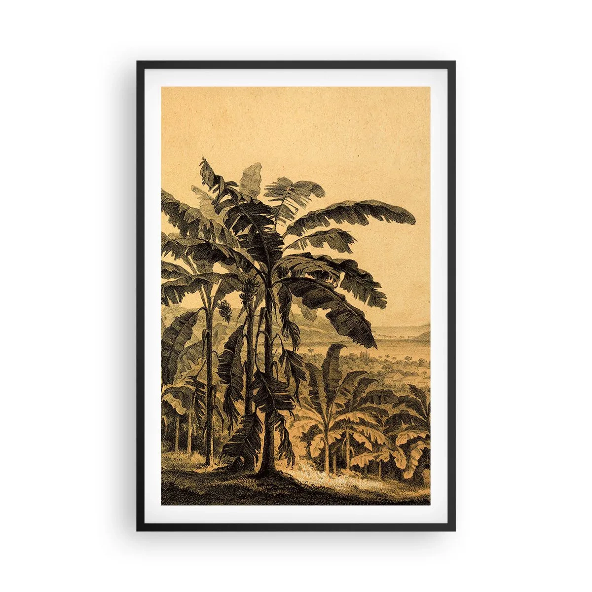 Poster in black frame - In Colonial Character - 61x91 cm