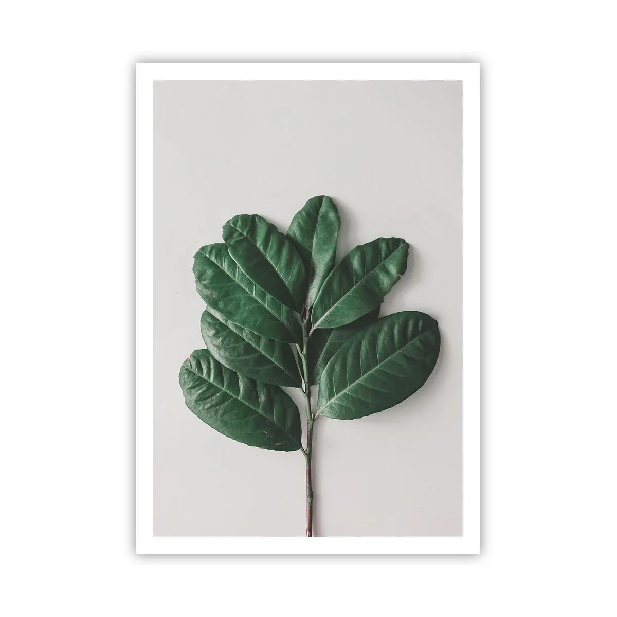 Poster - Drawing of Nature Itself - 70x100 cm