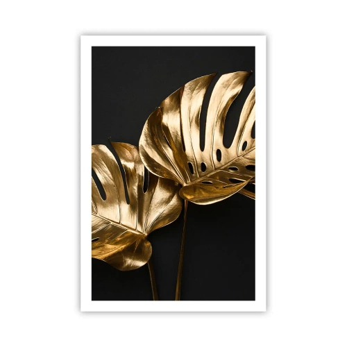 Poster - Tresaures of Nature - 61x91 cm
