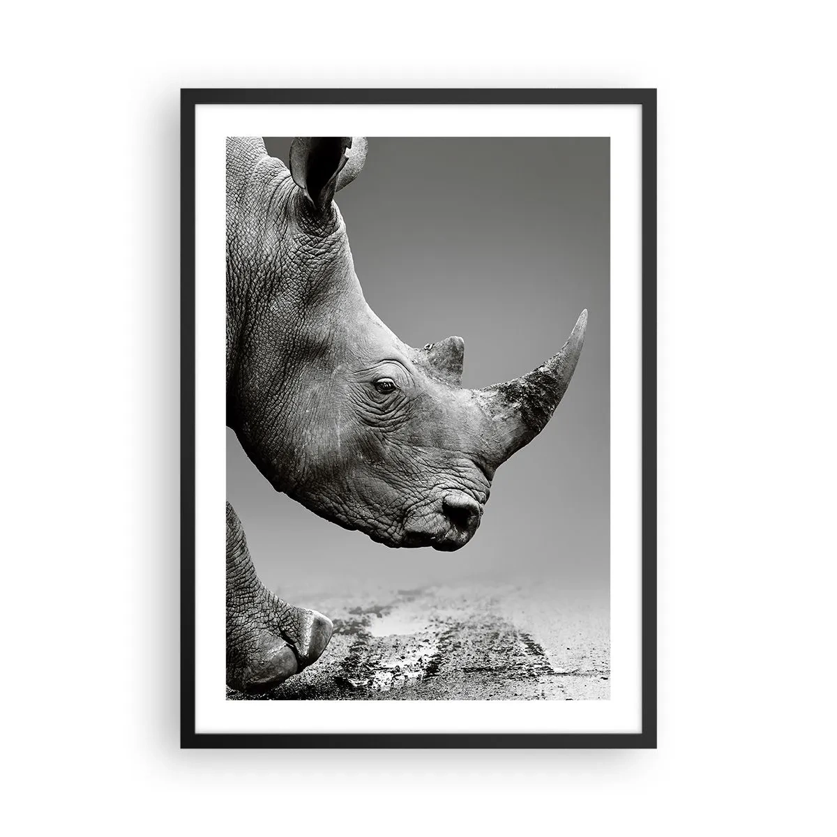 Poster in black frame - Black and white close-up of a rhino's head - 50x70cm - Uncontrolled Power - Modern wall decoration for the living room and bedroom ARTTOR
