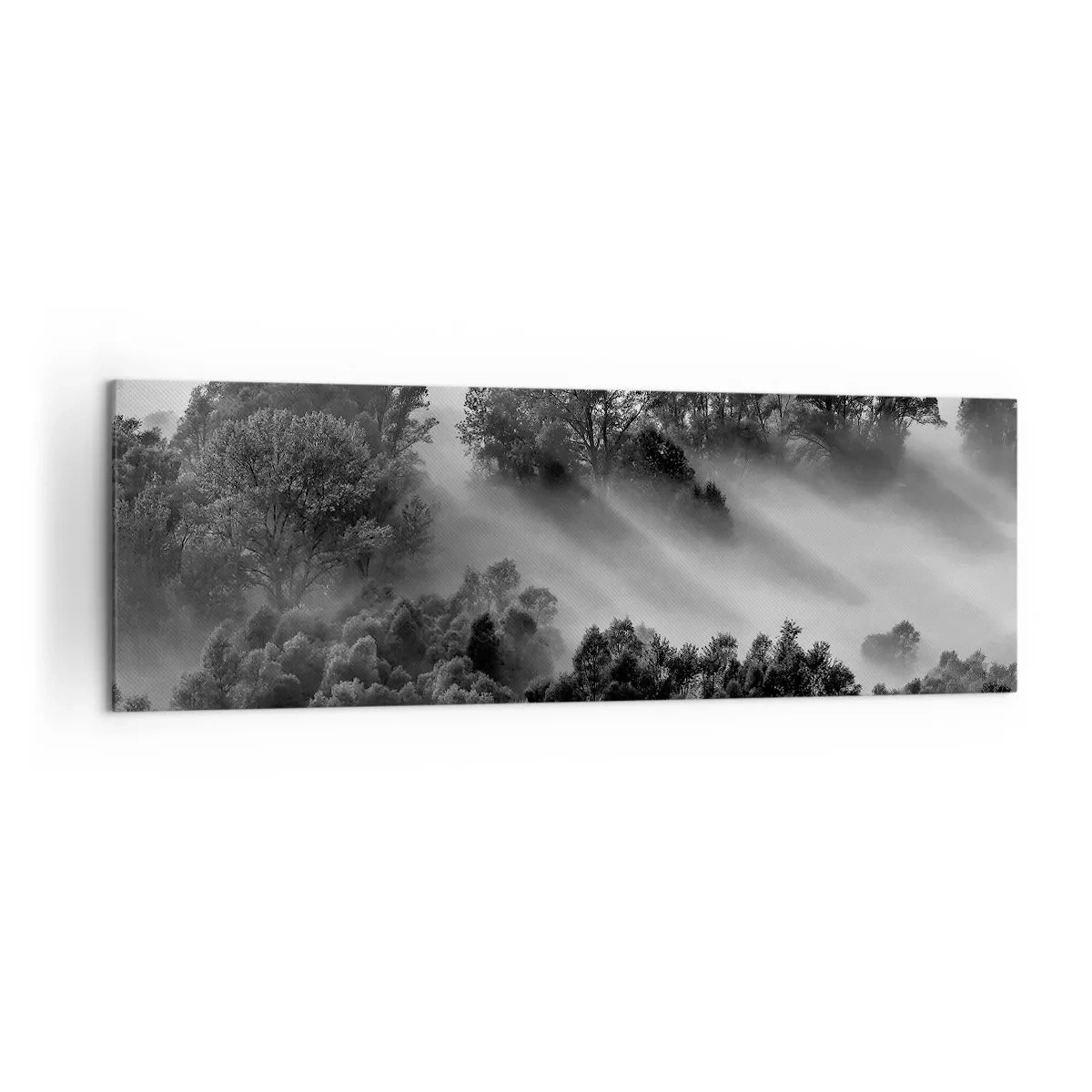 Canvas picture - Rising from a Sleep - 160x50 cm