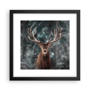 Poster in black frame - King of Forest Crowned - 30x30 cm