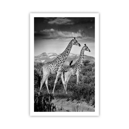 Poster - Higher Spheres in Africa - 61x91 cm