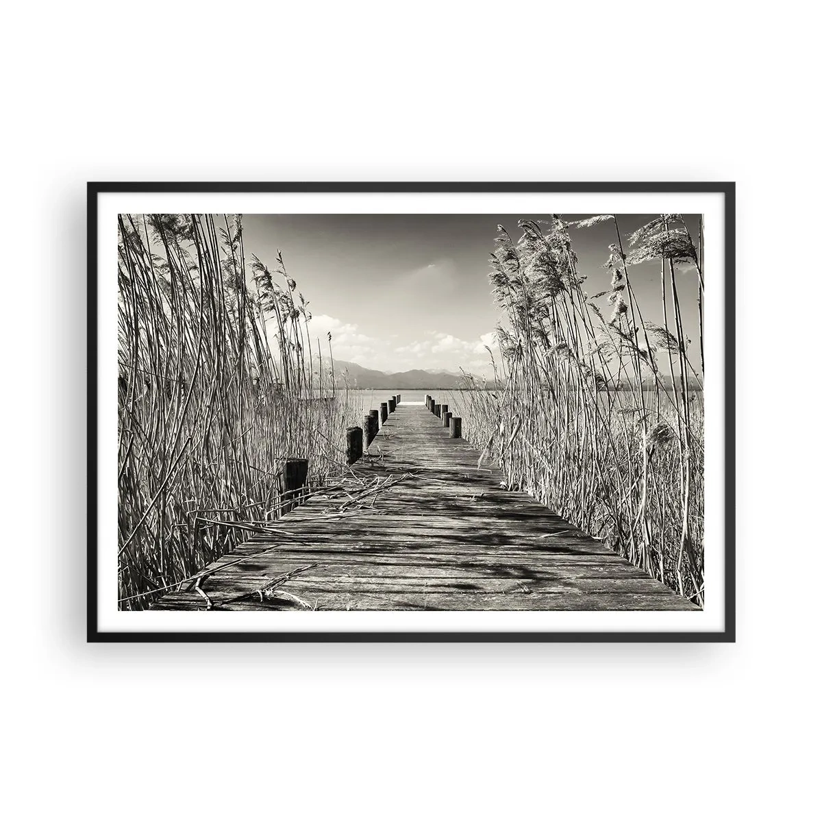 Poster in black frame - In the Grass - 100x70 cm