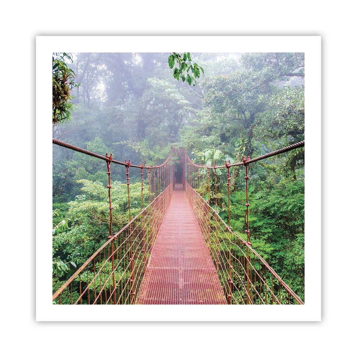 Poster - Suspended above Crowns - 60x60 cm