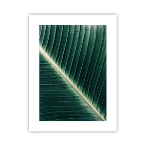 Poster - Rhythm of Nature - 30x40 cm