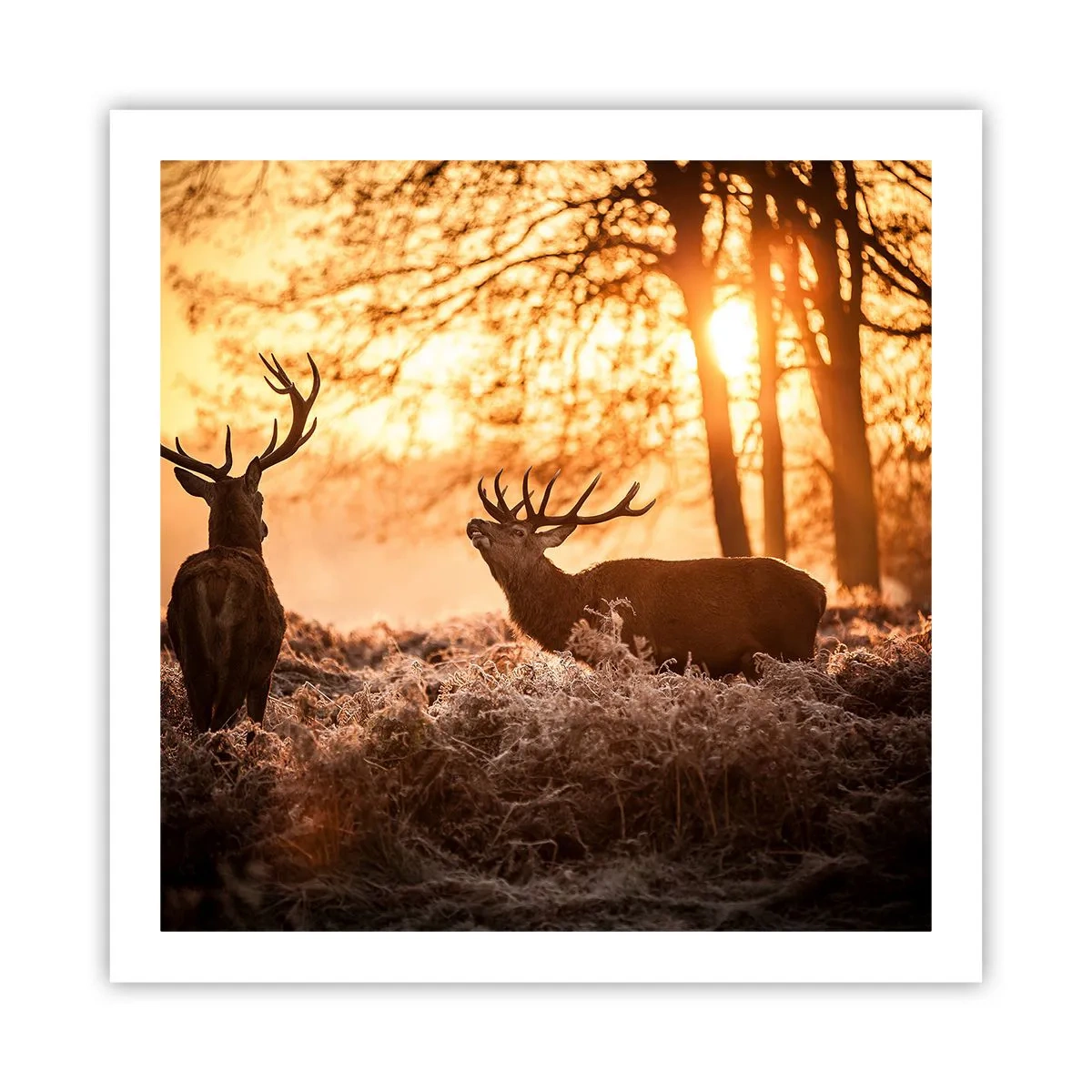 Poster - Hunter's Dream - 60x60 cm