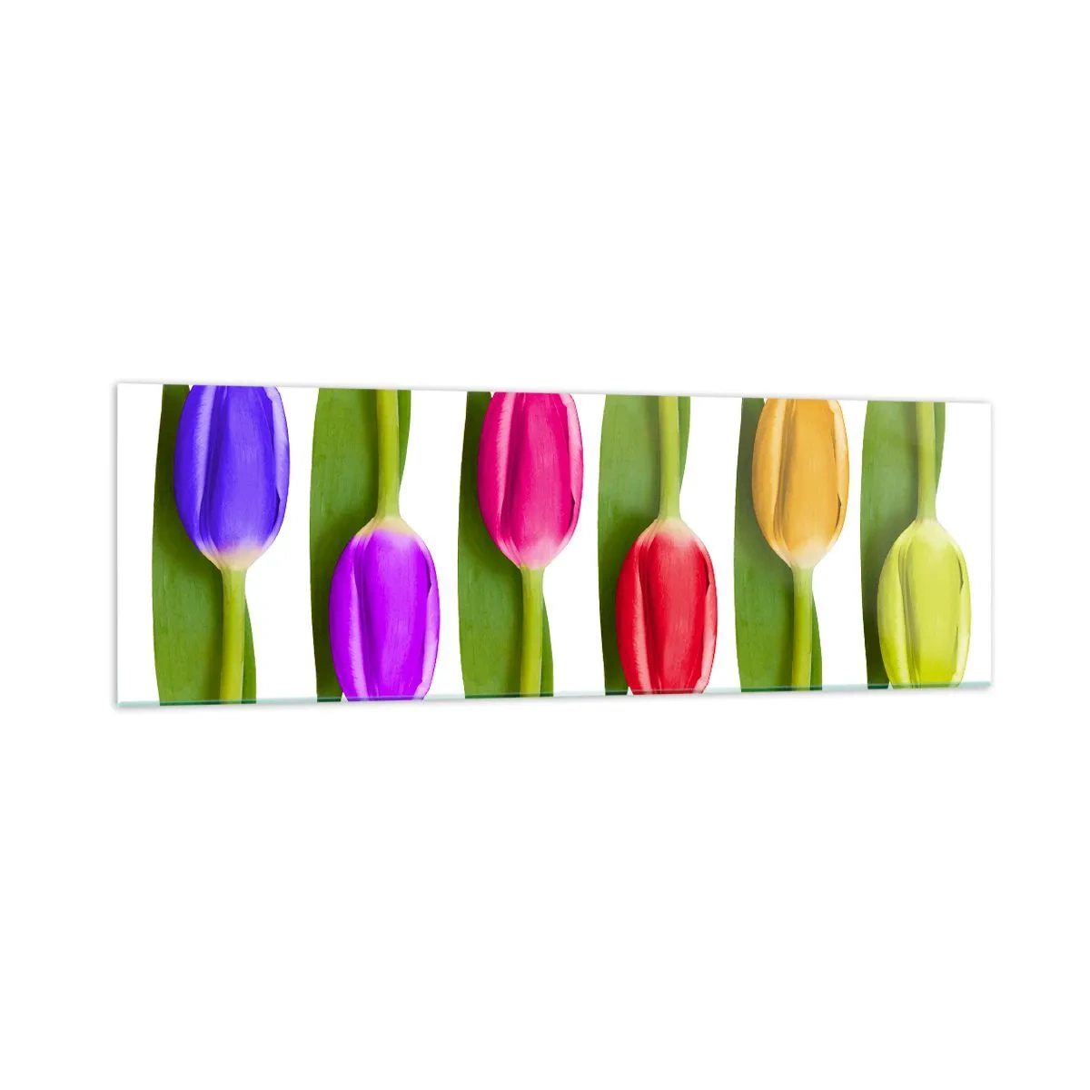 Glass picture - Rainbow Composition - 160x50 cm