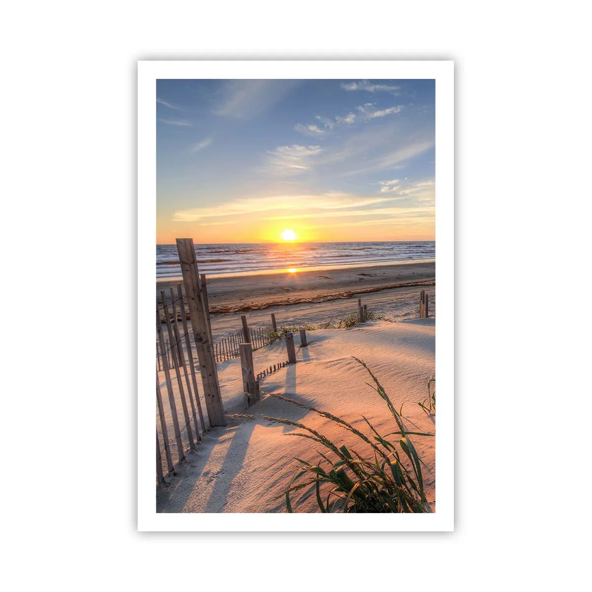 Poster - Light and Shade of the Wind - 61x91 cm